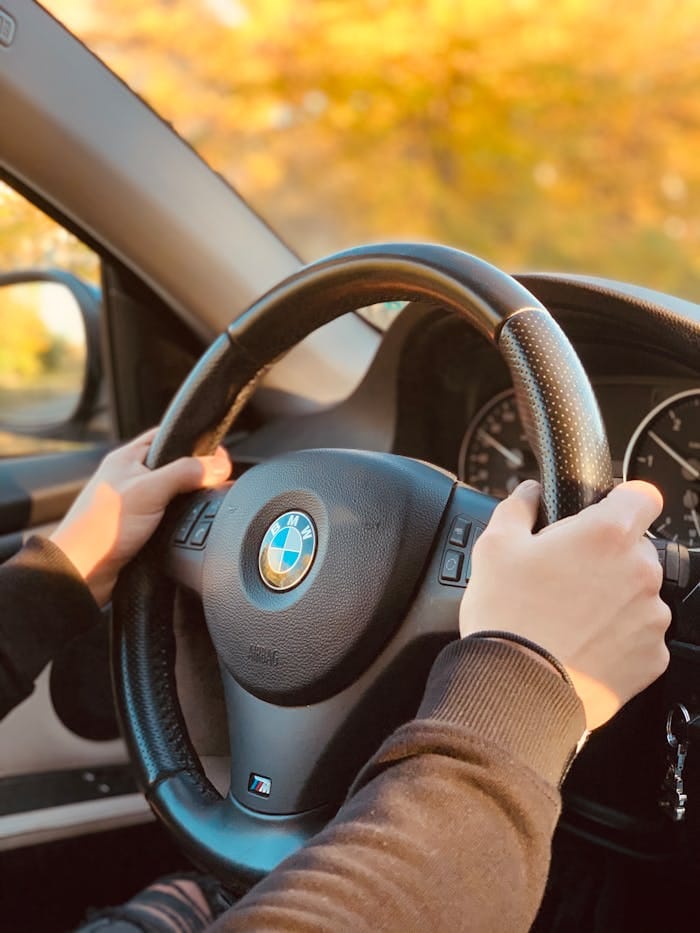 silverleaf driving school belleville